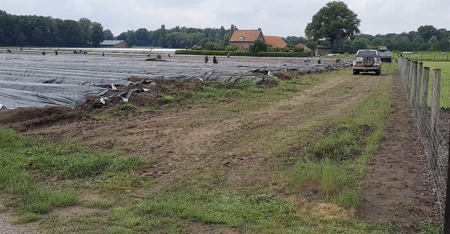 Weert geeft groen licht voor huisvesting 400 arbeidsmigranten op bedrijventerrein