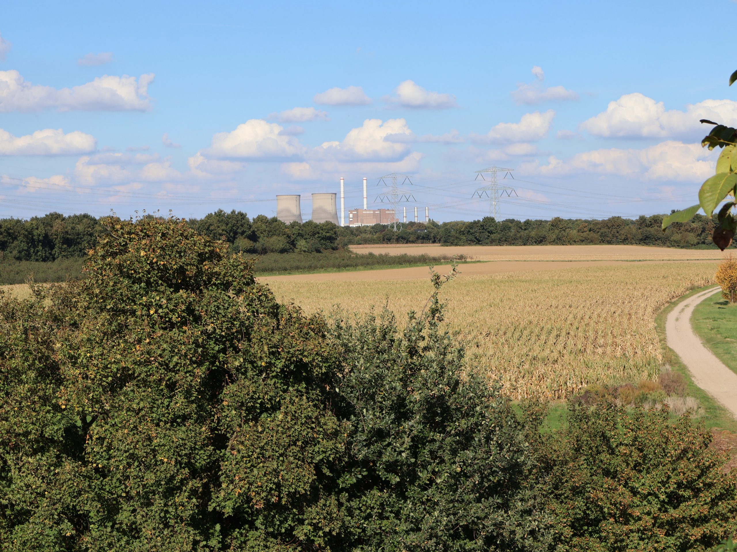 Zacht weekend met zon, later kans op regen in Midden-Limburg