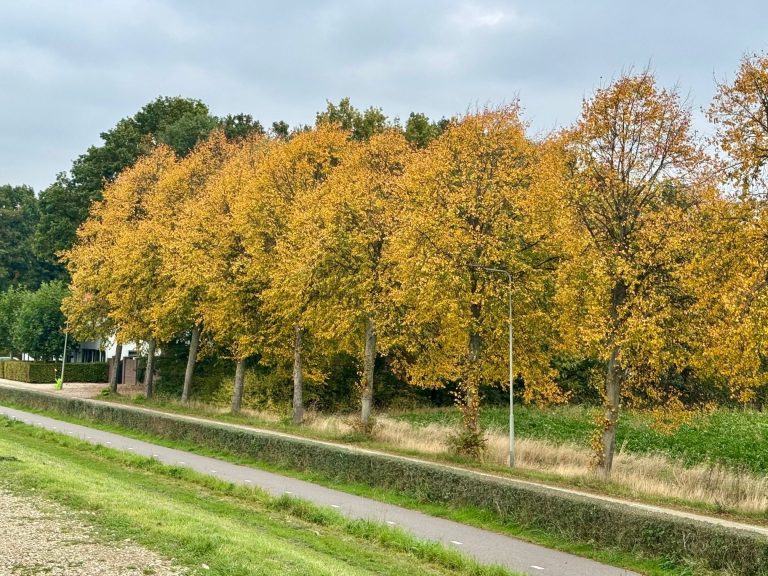 Rustig en droog herfstweekend in Midden-Limburg, temperaturen rond 20 graden