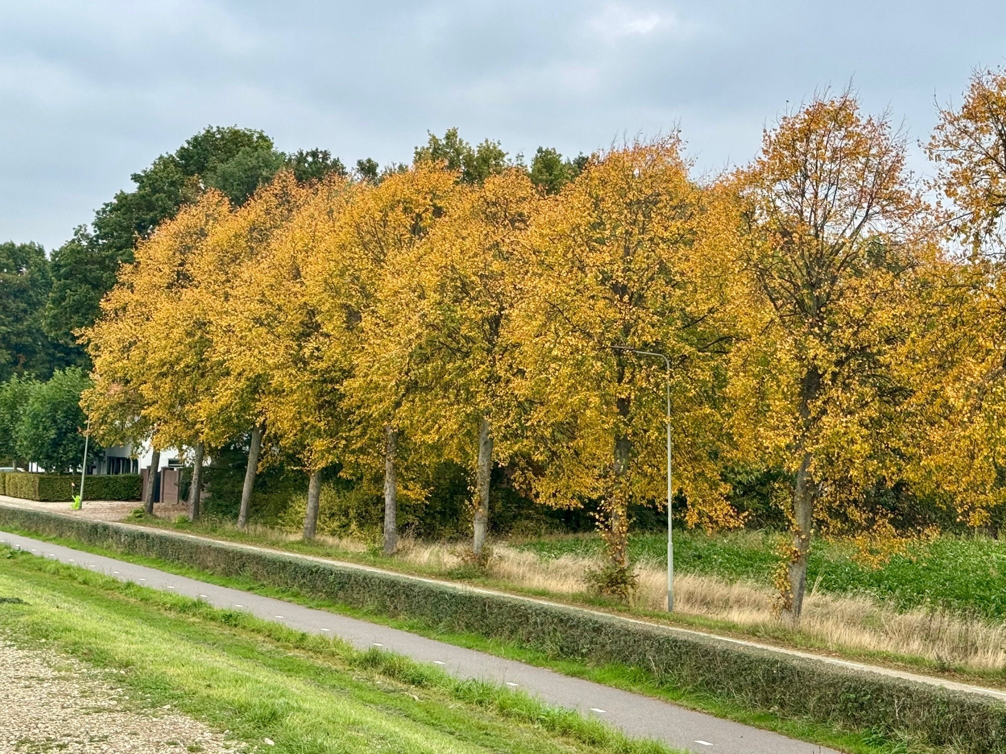 Koude week met afwisseling van droge periodes en enkele buien