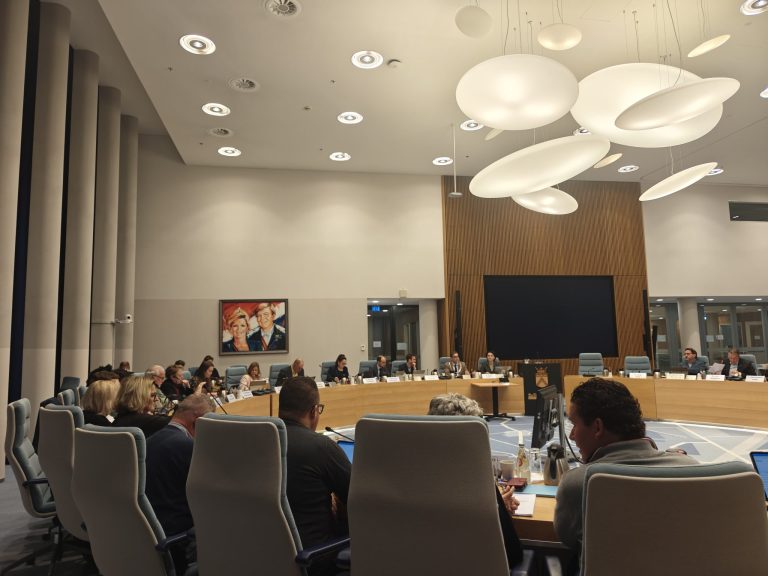 Raad Weert stemt in met nieuwe spelregels parkeerbeleid, horeca-afspraken en anjerperk