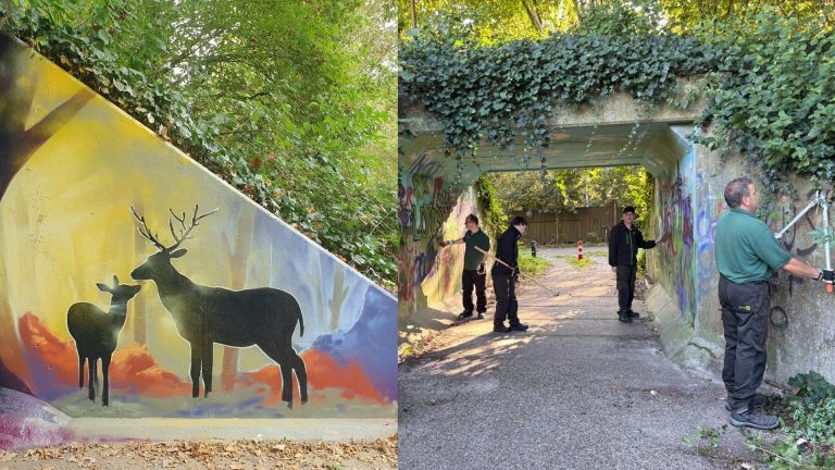 Fietstunnel in wijk Graswinkel in Weert opgeknapt met graffiti