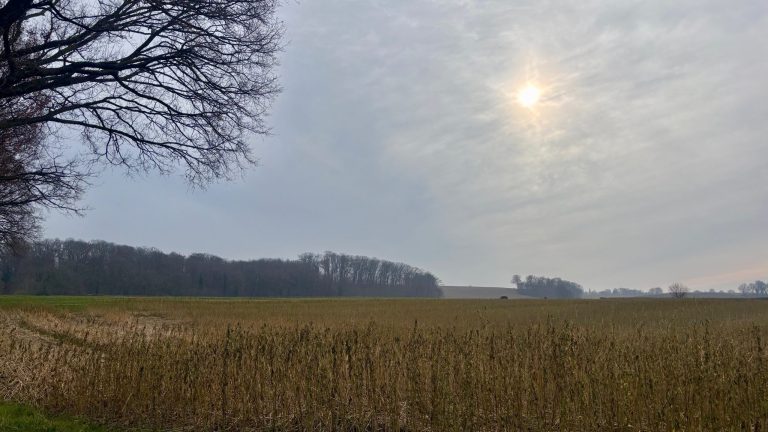 Zacht en overwegend droog in Midden-Limburg
