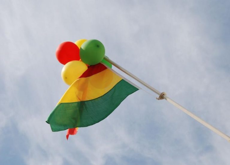 Prinsen uit het Weerterland op WeertFM TV