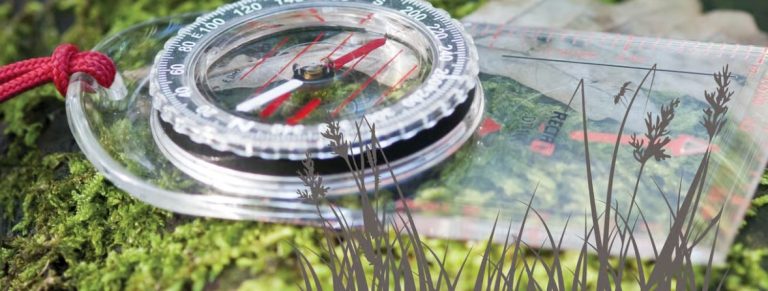 Weekendagenda: van kindermusical tot kompastocht