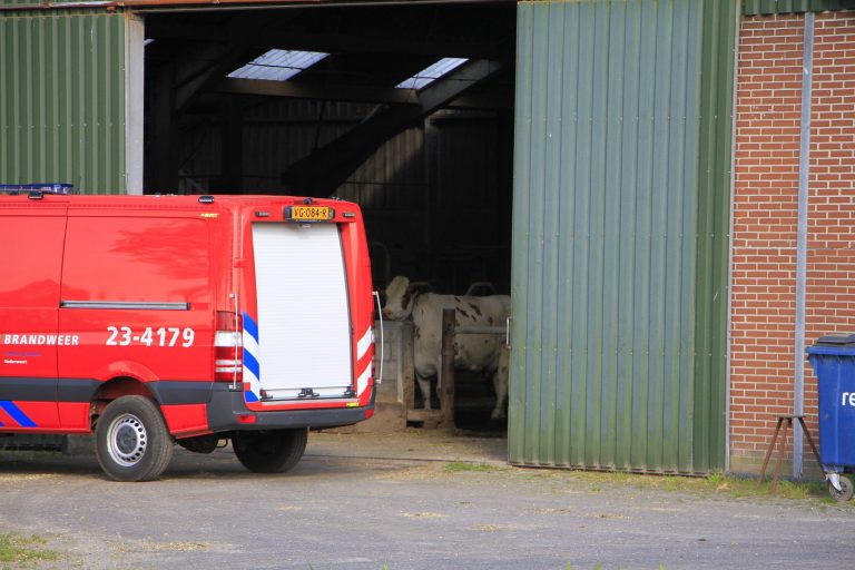 Brandweer redt pasgeboren kalf uit put in Nederweert-Eind