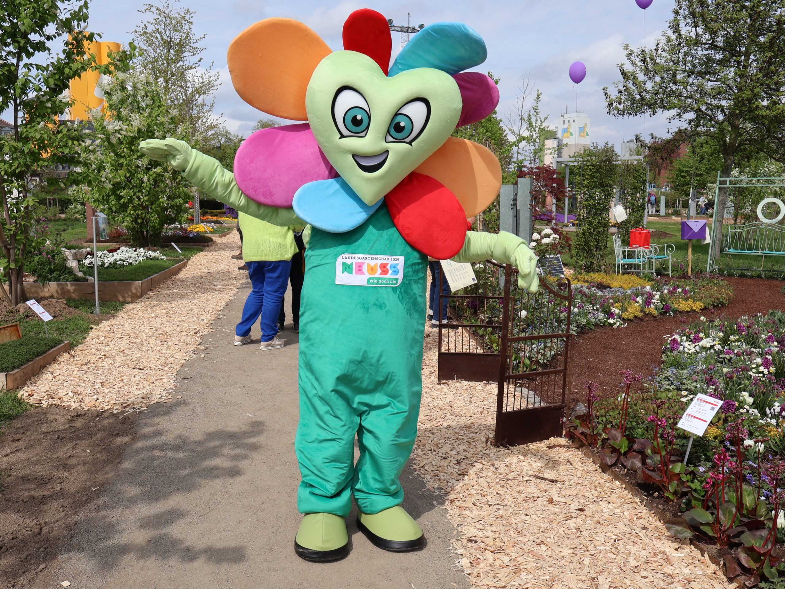 Grensregio Compact: een oprukkende wolf, belastingzaken en toerismetrekkers