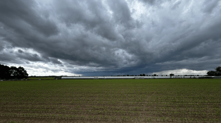 Wisselvallig begin van het weekend, daarna geleidelijk meer droge momenten