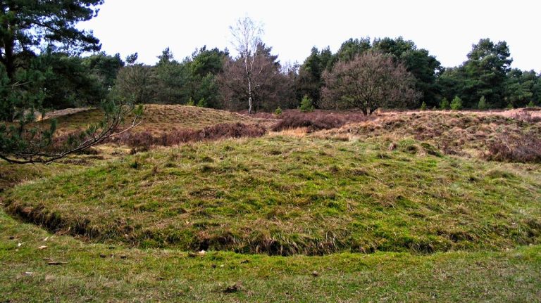 Tientallen grafheuvels, verspreid over zo’n 33 hectare, maar onbekend in Weert zelf
