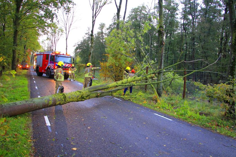 Storm Boelo waait boom omver, weg in Altweerterheide voor even geblokkeerd