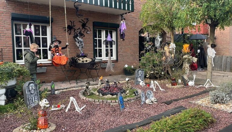 Weekendagenda: Heel veel Halloween, maar ook dansen, muziek en topfutsal